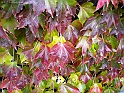 pix 308